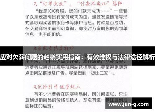 应对欠薪问题的赵鹏实用指南：有效维权与法律途径解析